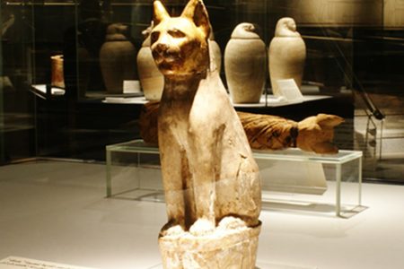 Journey Through Time | Visit Luxor and Mummification Museums with Rayvira
