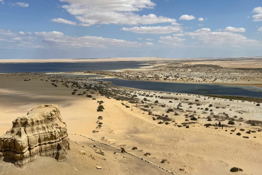 DAY TOUR TO WADI EL RAYAN & WADI EL HITAN FROM Cairo